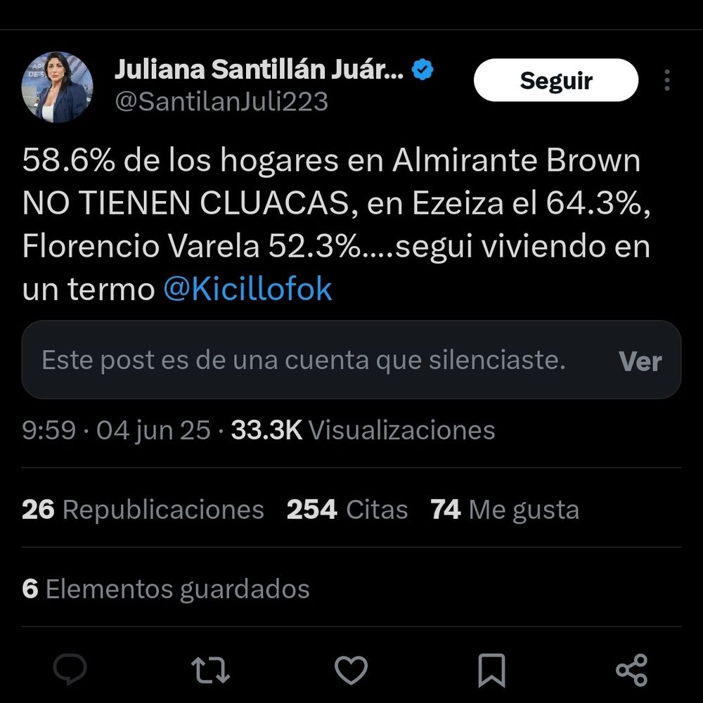 Las burradas lingüísticas de la diputada libertaria Juliana Santillán (X)