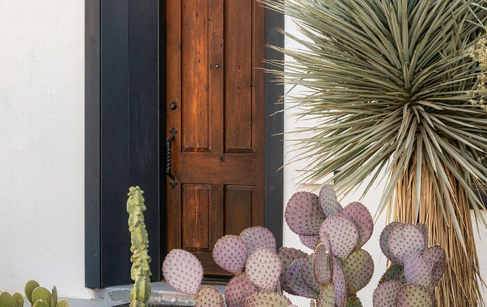 Esta planta genera protección desde el primer contacto con el exterior.