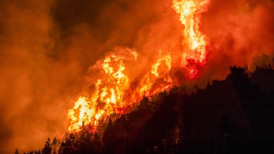 Preocupación en Chubut: se reactivaron los incendios forestales por los vientos y las altas temperaturas
