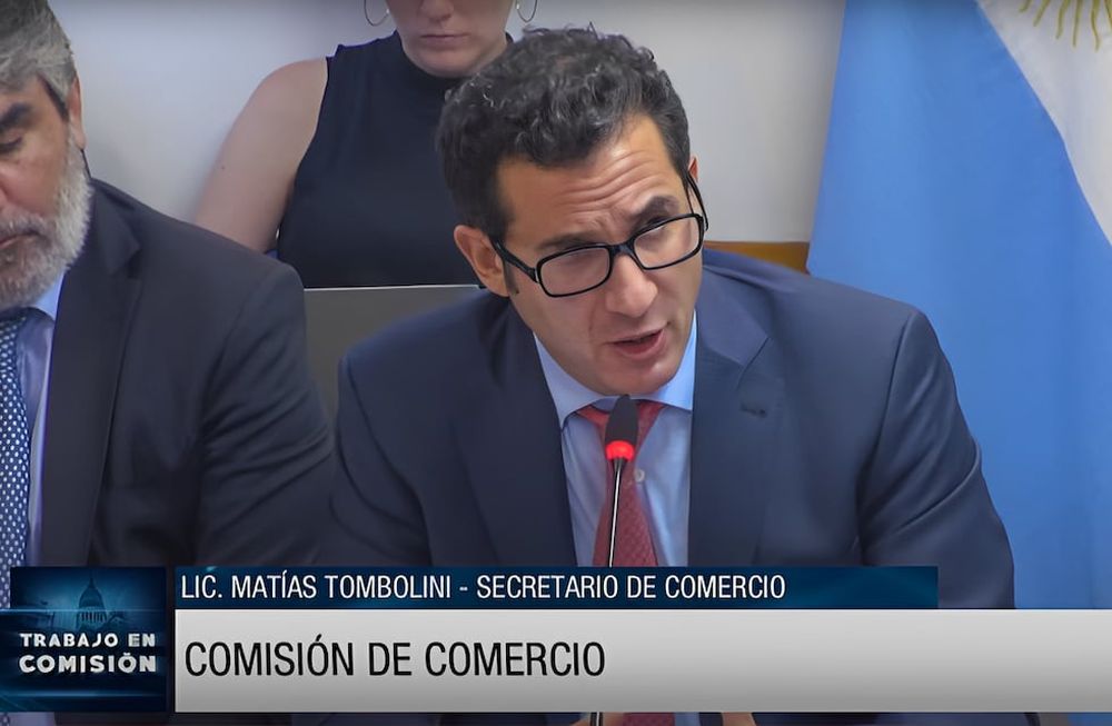 El secretario de Comercio, Matías Tombolini, expuso en Diputados. Foto: Captura de video