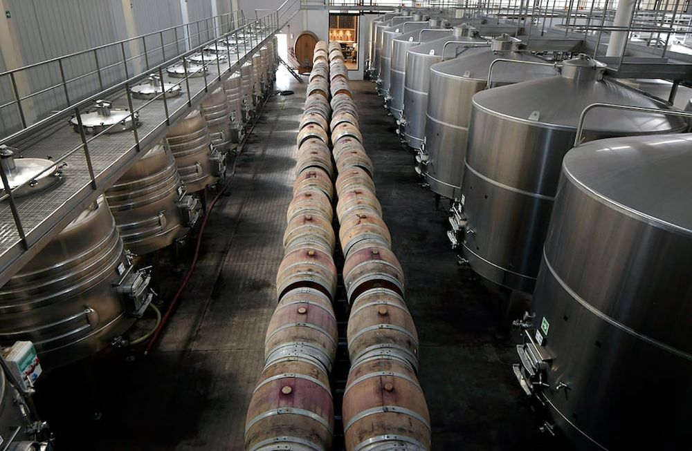 Bodega Trivento es una de las compañías de capitales chilenos en el país. Foto: Orlando Pelichotti