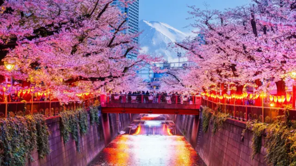 Japón decidió cancelar su histórico festival debido a los malos comportamientos de los turistas.