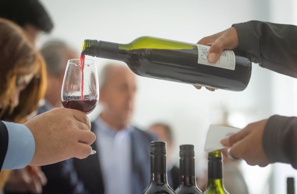 El vino argentino celebra su día a diez años de haber sido declarado la Bebida Nacional. - Ignacio Blanco / Los Andes