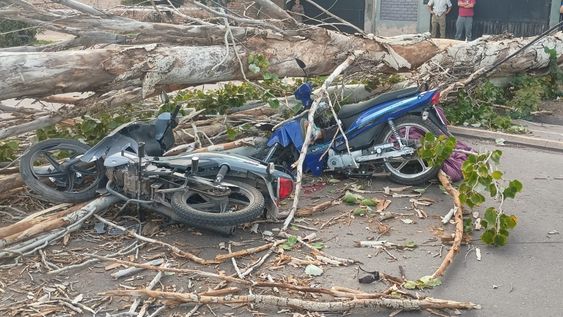 Un motociclista murió y otro resultó herido tras la caída de un árbol por el Zonda en Las Heras