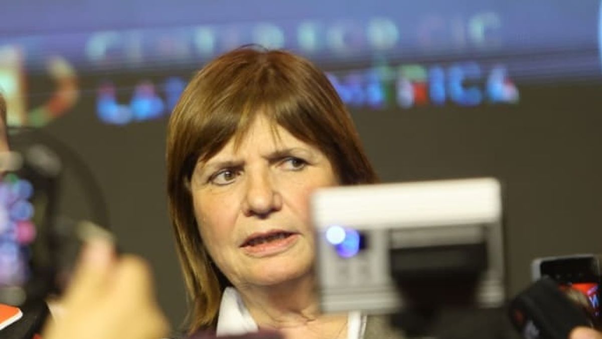 Patricia Bullrich adelantó como será el debate por Zona Fría: 