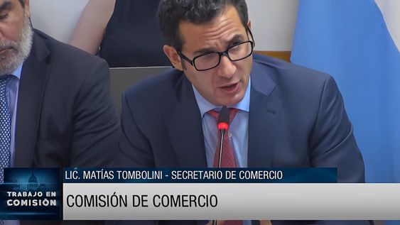 El secretario de Comercio, Matías Tombolini, expuso en Diputados. Foto: Captura de video