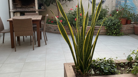 Jardín, jardinería y plantas se unen en una aliada verde contra calor extremo