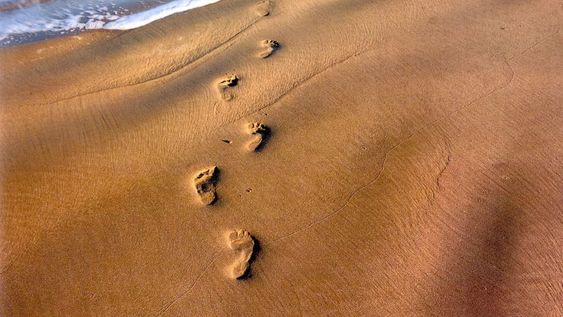 Horóscopo: los escorpianos marcan un antes y después en tu vida