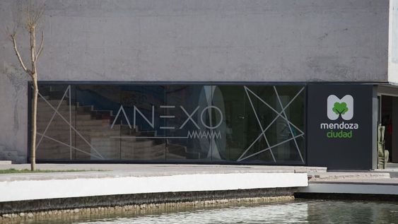 “¿Y si no fuera más que una artista estocástica?” se inaugurará en el Anexo MMAMM