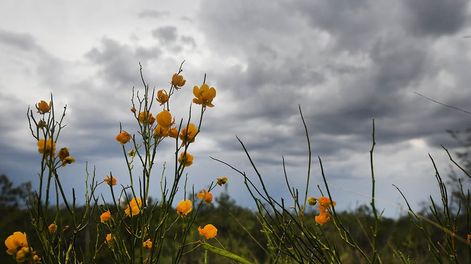 Se esperan tormentas aisladas y calor en Mendoza. Foto: Archivo / Los Andes