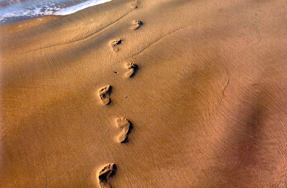 Horóscopo: los escorpianos marcan un antes y después en tu vida