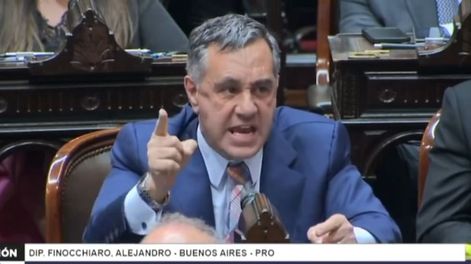 Los Andes | El diputado del PRO, Alejandro Finocchiaro, en su intervención en el Congreso / Captura de video