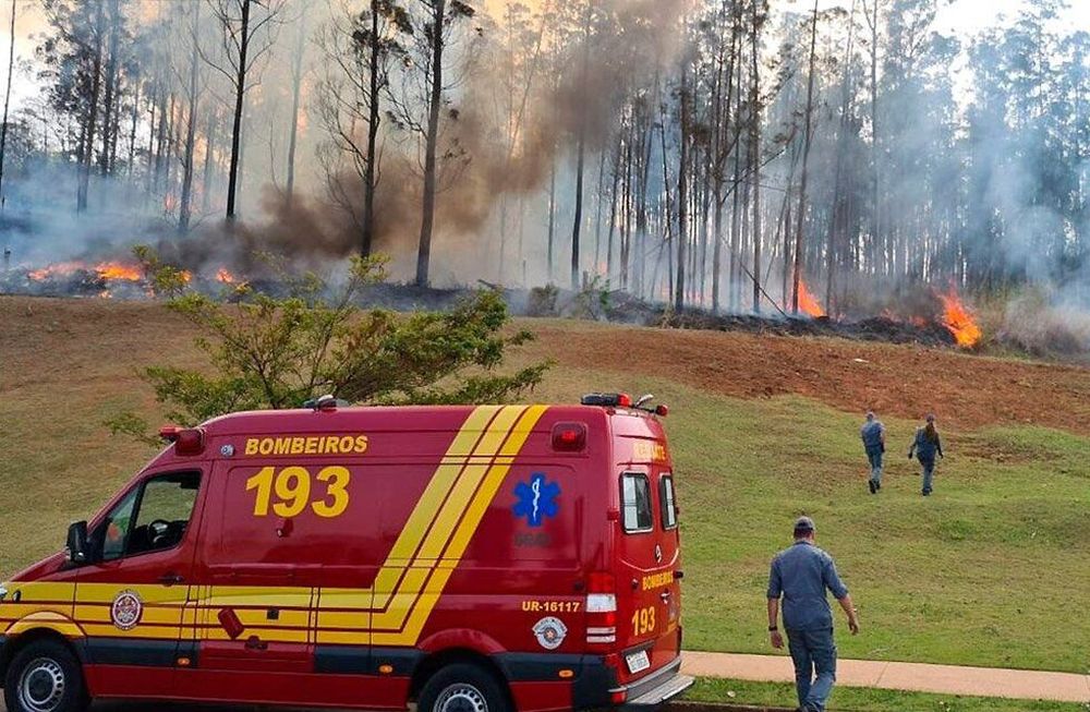 Una de las víctimas es Celso Silveira Mello Filho, hermano del propietario de uno de los principales grupos productores de biocombustibles. Foto: Gentileza