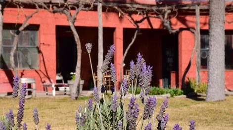 Guarda 14 | EBKKS4YVDJCNXB5C5J65F72Z6M.jpg?quality=75&smart=true&auth=04d3d8cc22800661cbfd802991bf6fa52c315eb064a8cf8f856f1fd6aabd1004&width=980&height=640