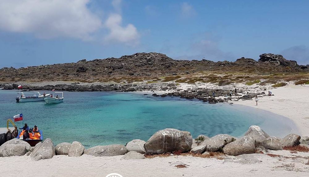 Isla Damas