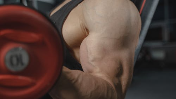 en menos de 10 minutos: esta la rutina de entrenamiento ideal para brazos
