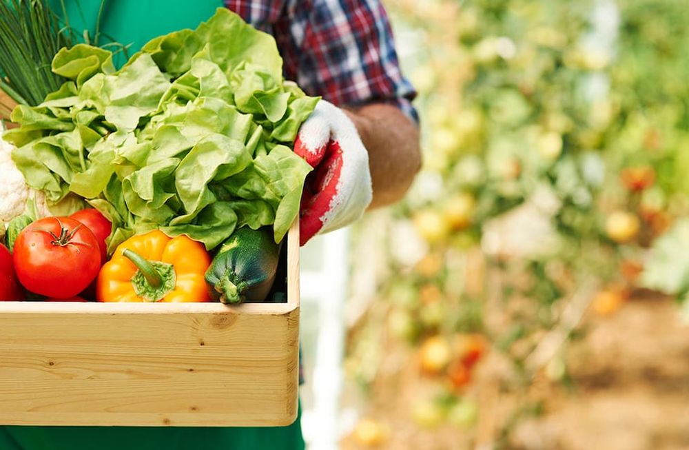 Para acceder a los créditos, los solicitantes deben presentar documentación que varía según el tipo de garantía que puedan ofrecer.