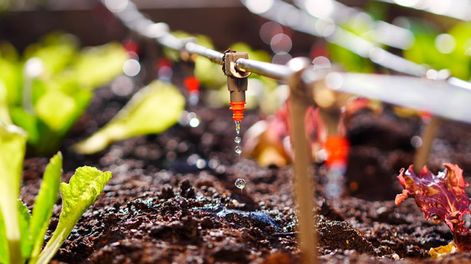 Los Andes | El destino de los fondos incluye equipos de riego, obras complementarias, construcción y arreglo de perforaciones, mallas antigranizo y equipamiento antiheladas.