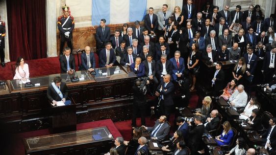 El presidente Javier Milei durante su discurso en la apertura del período de sesiones ordinarias en el Congreso. (Federico López Claro / La Voz)