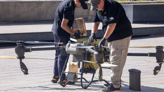 ulpiano suarez superviso la pulverizacion, con productos organicos, del arbolado publico en plaza independencia