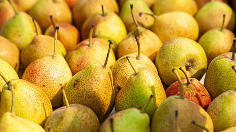 Los Andes | En Mendoza sólo hay 2.000 hectáreas que producen pera, en su mayoría de la variedad Williams.