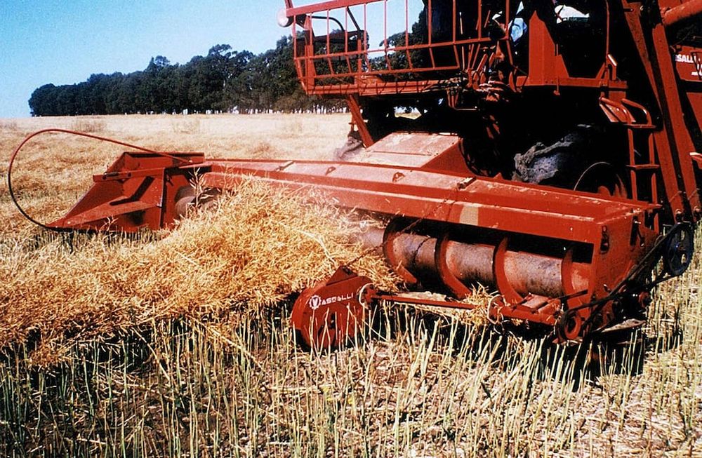 El agro y las exportaciones