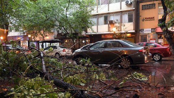 Árboles y postes caídos fue el saldo de la violenta tormenta de ayer