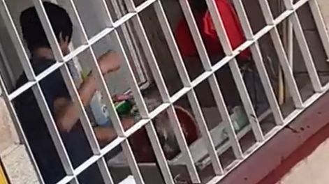 Captura de video - Fundación Toby