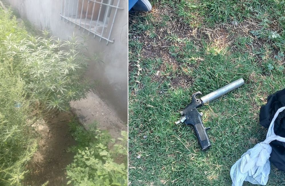 Al hombre lo llevaron detenido por violencia de género, por poseer un arma de fabricación casera y por tener plantas de marihuana. Foto: Ministerio de Seguridad