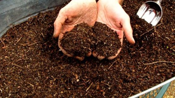 Nueva campaña de intercambio de residuos verdes por compost