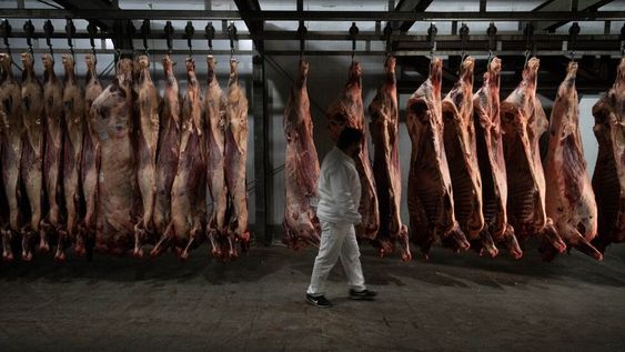 Las exportaciones argentinas de carne aumentaron en 2022, pero el nivel de participación en las ventas al exterior del Mercosur es el más bajo de los últimos tres años. Foto: Ignacio Blanco / Los Andes