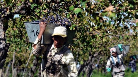 La paritaria vitivinícola cerró con un aumento del 64% hasta febrero