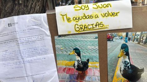 Los Andes | Pato Juan - firmas