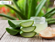 como reciclar el aloe vera para crear tu propio jabon en casa