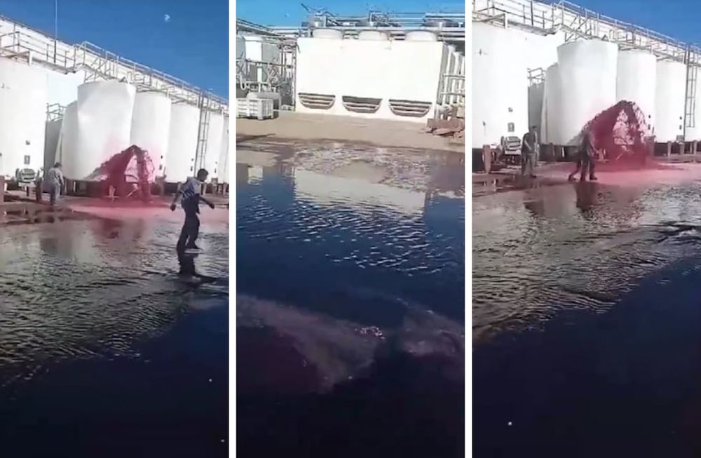 Se derraman litros de vino en una bodega mendocina por un accidente.