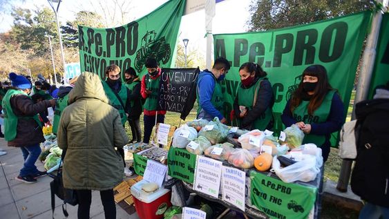 Pequeños productores agrícolas se manifestaron frente a Casa de Gobierno