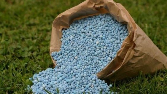 La siembra (como cada actividad en la Argentina) será cada vez más competitiva, prometió el vocero presidencial Manuel Adorni. Foto: Gentileza