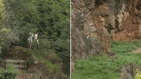 Una familia que se coló en el área de lobos de Cabárceno y denunciada. El momento fue registrado por un tiktoker que sirve como prueba para identificarlos.&nbsp;