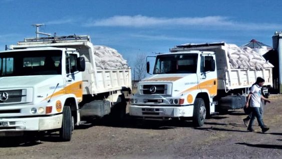Para reemplazar los postes de 1 hectárea se necesitan 6 mil kilos de plástico.