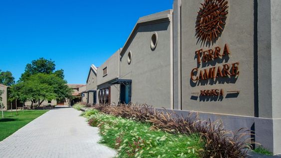 Conocé Terra Camiare: la bodega cordobesa que marca el camino