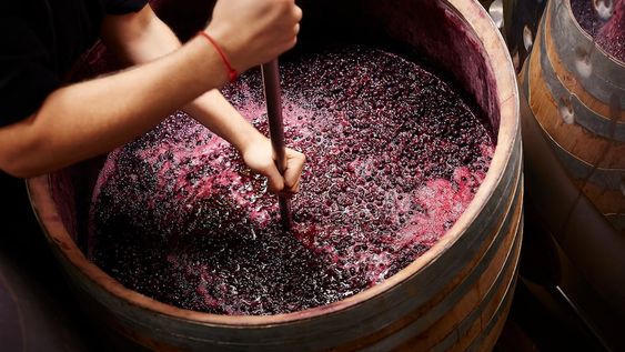 Llegamos al corazón del vino: la fermentación
