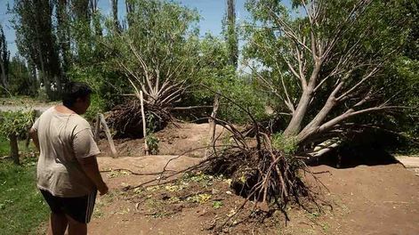 Fuertes vientos y caída de granizo sobre viviendas y terrenos cultivados, afectó unas 17 mil hectáreas productivas de Lavalle y zona Este. (Diciembre de 2021) Foto: Ignacio Blanco (Los Andes)