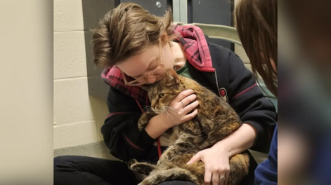 La gata Artemis apareció luego de 5 años desaparecida.