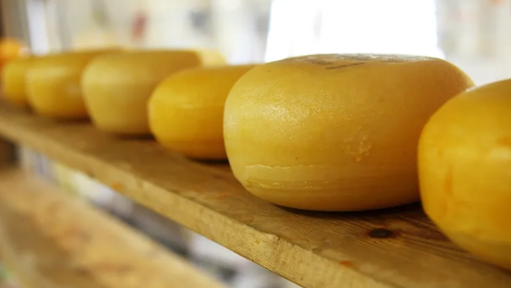 Más de 3 toneladas de queso falso incautado en Bulgaria genera alerta. Más de 3 toneladas de queso falso incautado en Bulgaria genera alerta.