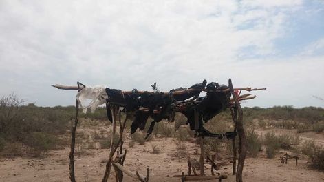Los Andes | A 140 km de la ciudad capital, los habitantes del secano lavallino reclaman una urgente solución al deficiente servicio de transporte público de pasajeros.