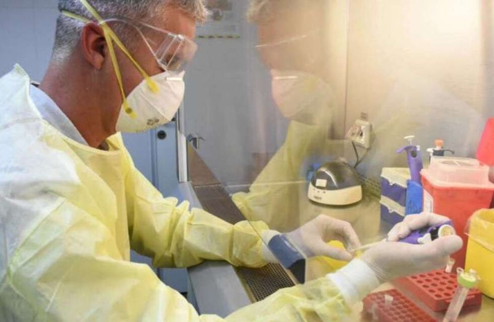 Elaboran 41 vacunas contra el coronavirus y ya están en fase de prueba