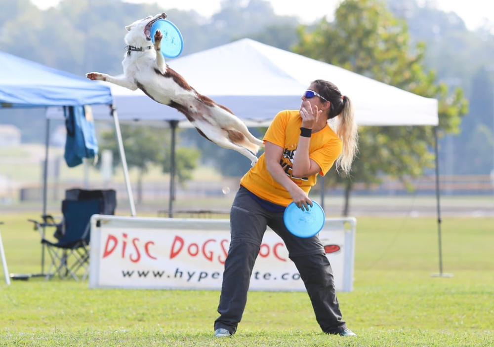 Discdog, la disciplina canina que tiene una campeona del mundo argentina y busca instalarse en Mendoza