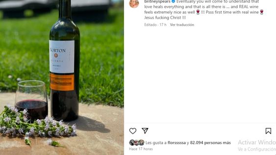 Britney Spears probó un vino mendocino. El vino real se siente muy bien, escribió la cantante en su cuenta. Instagram @britneyspears