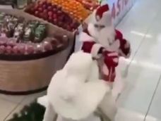 Dos Papá Noel a las piñas en un supermercado.