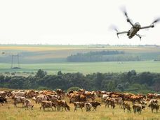 El pequeño dron ayudó a salvar las vidas de las vacas.